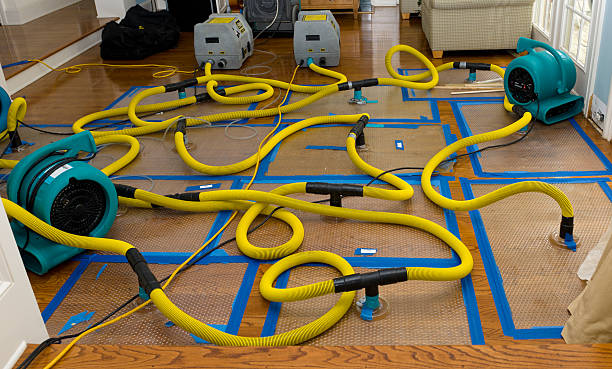 Professional Water Damage Repair technician working in Wellsville, MO