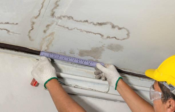 Affordable Water Damage Repair solutions in Wellsville, MO